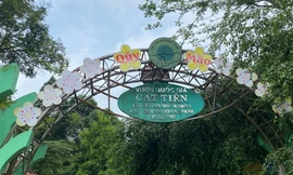 Vườn quốc gia Cát Tiên nhận hơn 11,6 nghìn ha đất rừng Đồng Nai để mở rộng 