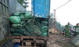  Bắt quả tang đoàn xe chở hàng chục tấn rác đi đổ trộm 