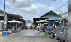 Khởi tố đối tượng nổ súng bắn 2 vợ chồng thương vong 