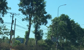 Sau cơn 'sốt đất' bất thường, Bình Ba trở về vắng lặng