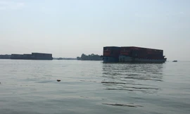  Đồng Nai đề xuất 5 phương án xây cầu Cát Lái 