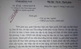 Đồng Nai: Phê bình 1 chủ tịch huyện vì cho cán bộ đi Hà Giang học tập chuyển đổi số