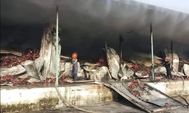  Kho chứa 260 tấn thanh long bốc cháy trong đêm