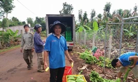  Địa phương đầu tiên của tỉnh Đồng Nai áp dụng chỉ thị 19+