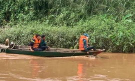 Theo mẹ đi thả cá phóng sinh, bé trai 2 tuổi rơi xuống sông mất tích
