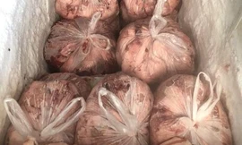 Thu gom mỡ, da lợn thối bán cho nhà hàng, quán ăn 