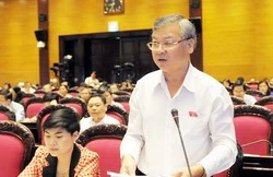 Ông Hồ Văn Năm phát biểu trong một lần thảo luận tại Quốc hội. Ảnh:Quochoi.vn