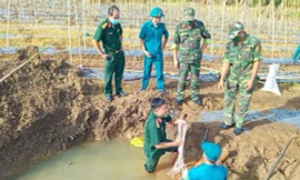 Phát hiện quả bom 300 kg khi đào mương nước