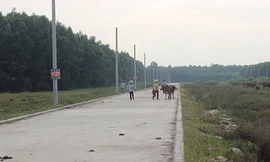 Điều tra 27 dự án bất động sản 'tự vẽ' của Alibaba 