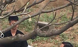 Kinh hãi phát hiện người chết treo cổ ở cây sứ bên đường