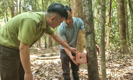 Xây bể chứa nước, bổ sung muối khoáng 'chống khát' cho thú rừng