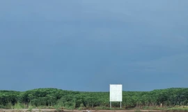 Loạt khu đất trên 5.000 tỷ đấu giá không thành