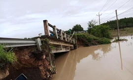 Xác định nguyên nhân cầu Tân Hà sập