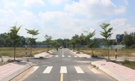 Đồng Nai 'siết' nạn phân lô, bán nền trái pháp luật