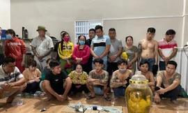 Phát hiện cá thể hổ trong bình rượu tại sới bạc vừa bị triệt phá