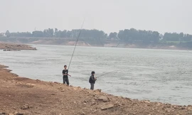 Điều tra vụ nhân viên kiểm lâm bị nhóm người bắt trói, hành hung rồi cướp ca nô 