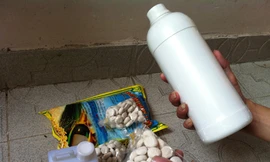 Thần chết mang tên men rượu độc