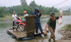 Thót tim cảnh 2.500 người 'đu dây' qua sông