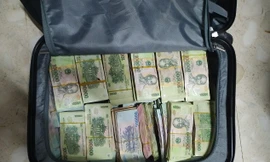 Hé lộ tình tiết mới vụ trộm đột nhập nhà ca sĩ Nhật Kim Anh