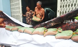 Người Sài Gòn xây 'lô cốt' chống ngập