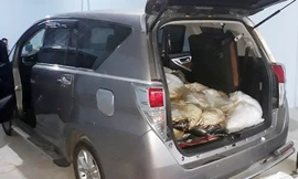 Ma tuý trên ôtô. Ảnh: Hải quan TP HCM.