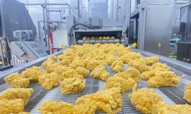 Việt Nam xuất khẩu lô hàng thịt gà đầu tiên sang Nhật Bản 