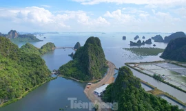 Cục trưởng Cục Di sản văn hóa lên tiếng vụ lấp vùng đệm vịnh Hạ Long làm biệt thự