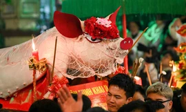 Xuyên đêm xem rước các 'ông lợn' ở La Phù (Hà Nội)