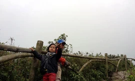 Bé gái 5 tuổi leo Fanxipang