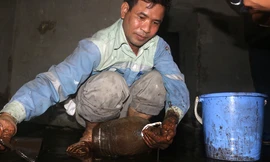 Nghi váng dầu đặc sánh trong bể nước chung cư Golden Land sau sự cố nước Sông Đà