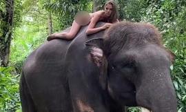 Nữ người mẫu bị chỉ trích vì khỏa thân trên lưng voi