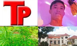 Bản tin Hình sự: Sát hại nữ chủ quán cà phê rồi phóng hỏa phi tang thi thể