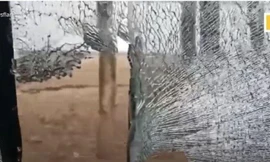 Kinh hãi cảnh hổ vồ ngã dân làng, lao vỡ kính ô tô tại Trung Quốc