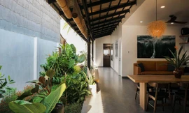 Ấn tượng với nhà cấp 4 làm hiên mở thay tường