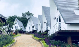 Hàng loạt homestay rao bán vì 'kiệt sức' do dịch kéo dài