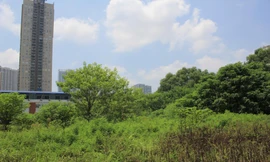 Để dự án 'đất vàng' bỏ hoang, nhiều sở ngành của Hà Nội phải chịu trách nhiệm 