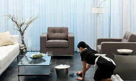 Cử nhân đại học danh giá đi làm osin gây tranh cãi