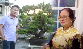 Nhà ở Mỹ của Bằng Kiều bị trộm đột nhập, mất cây bonsai đắt đỏ