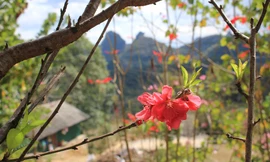 Chiều biên giới đẹp nao lòng với trăm hoa khoe sắc