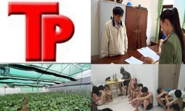 Bản tin Hình sự: Bắt quả tang thiếu nữ 16 tuổi 'thác loạn' ma túy với nhóm thanh niên