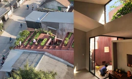 Độc đáo với nhà ống gác lửng dùng vườn rau làm mái cách nhiệt