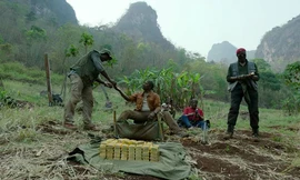 Phim Mỹ về chiến tranh Việt Nam có Ngô Thanh Vân đóng được vinh danh 