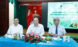 Nhựa phân hủy sinh học: Giải pháp khắc phục tình trạng 'ô nhiễm trắng'