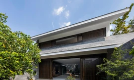 Dùng cây xanh thay tường rào giúp nhà ở mát như ốc đảo