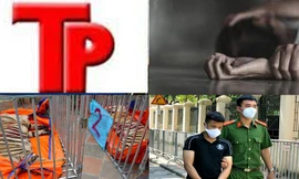 Bản tin Hình sự: Công an nói gì về việc 8 con hổ bị chết sau khi được giải cứu 
