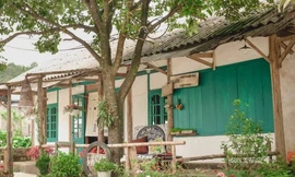 'Bỏ phố về rừng', cô gái cải tạo tiệm sửa xe cũ thành nhà cấp 4 đẹp như mơ