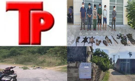 Bản tin Hình sự: Làm rõ danh tính nghi phạm cứa cổ tài xế taxi đến chết