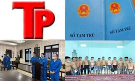 Bản tin Hình sự: Giúp bạn trai người Trung Quốc dụ dỗ thiếu nữ Việt livestream khiêu dâm