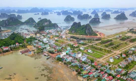 Chi tiết về loạt dự án vừa bị tỉnh Quảng Ninh 'khai tử'