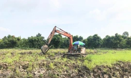 Chuyển mục đích sử dụng đất lúa, đất rừng làm dự án có nhiều điểm mới